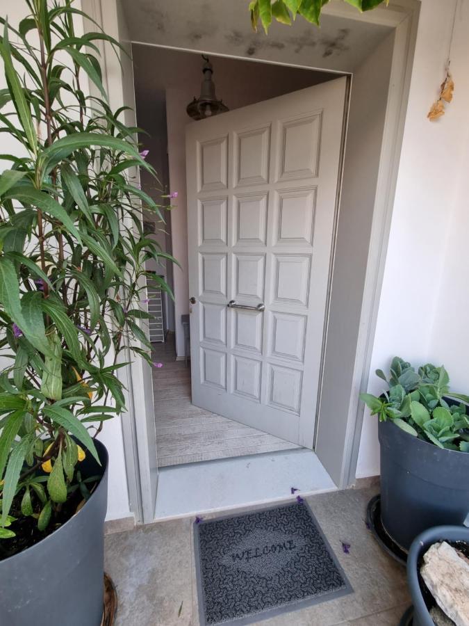 Hara'S Villa In Naousa , Paros ภายนอก รูปภาพ