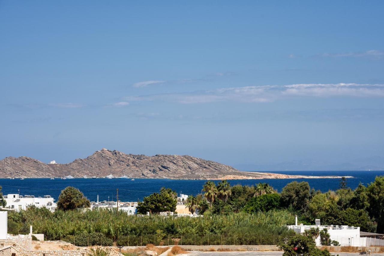 Hara'S Villa In Naousa , Paros ภายนอก รูปภาพ